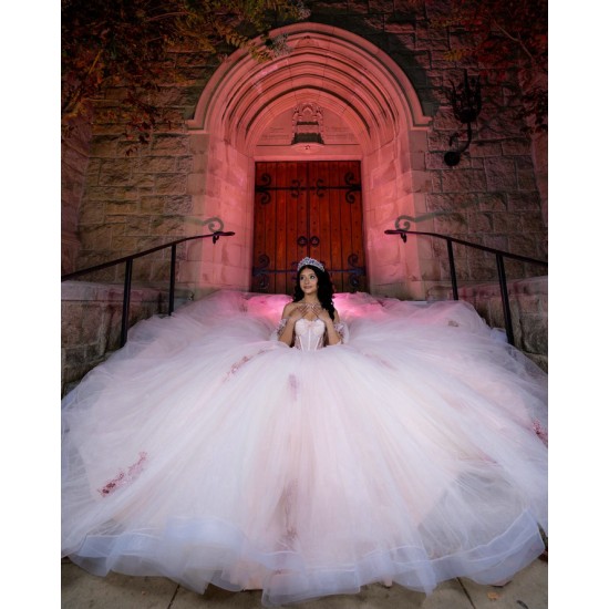 Customized Pink Quinceanera Dress Lace Applique Vestidos De Anos Sweetheart Neck Girl 2024 Ball Gown