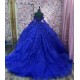 Long Sleeve Blue Quinceanera Dress 3D Flowers Princess Birthday Party Sweet 16 Dress