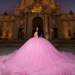 Long Sleeve Pink Quinceanera Dresses Ruffled Sweet 16 Dresses Lace Appliques Ball Gown Customized