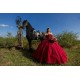 Vestidos De 15 Anos Red Quinceanera Dress Sweetheart Neck Sweet 15 Gowns Lace Appliques Off Shoulder 2024 Instagram Gowns